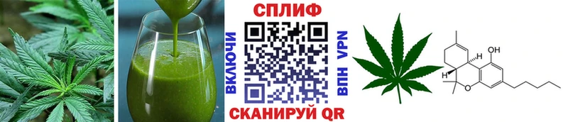 где купить наркотик  Кимры  Еда ТГК конопля 